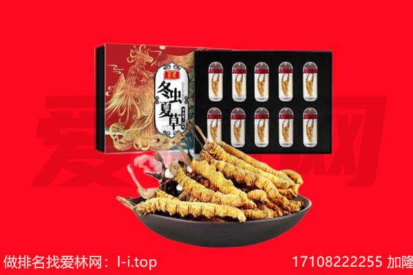 盱眙县回收虫草.jpg